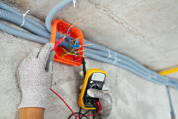 Best Ceiling Fan Installation Electrician  in Wellington, TX